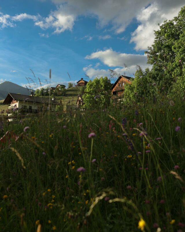 Circondati dalla bellezza naturale e dalla tranquillità delle alte quote.